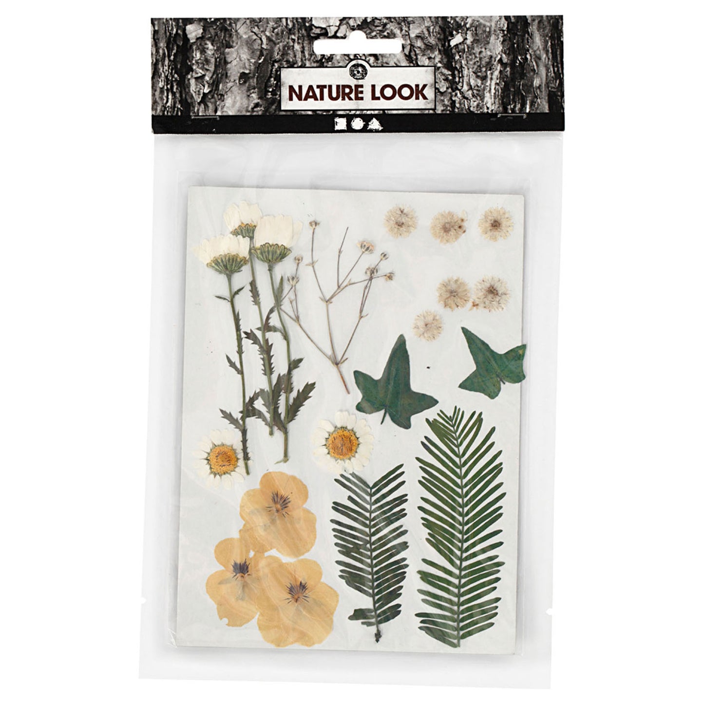 Fleurs séchées et feuilles blanches, 19dlg.