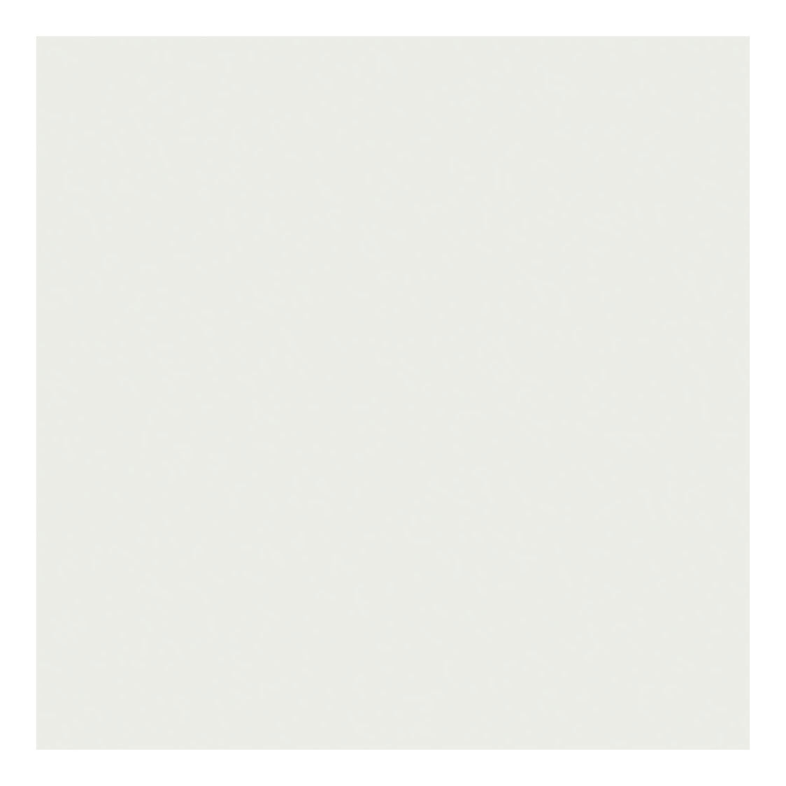 Creativ Company TissuePapier White 10 feuilles 14 gr, 50x70cm