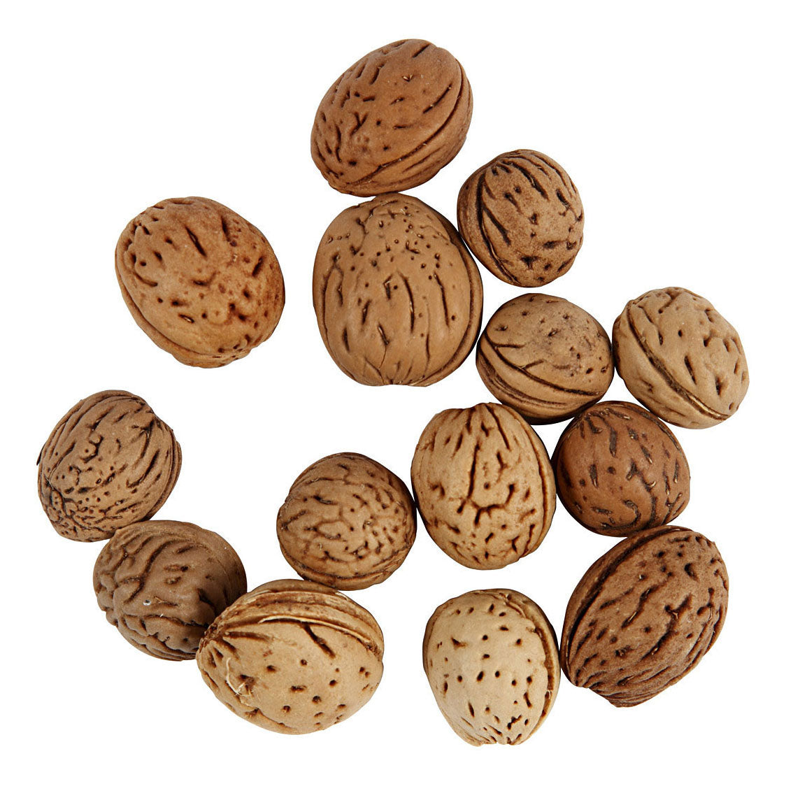 Creativ Company Nuts, 25 grammes