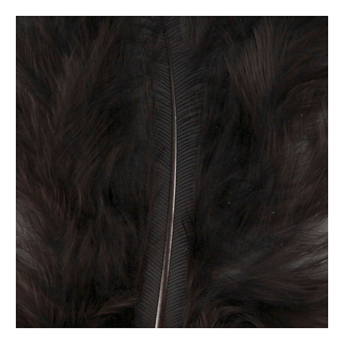 Creativ Company Down Black 5-12 cm, 15e.