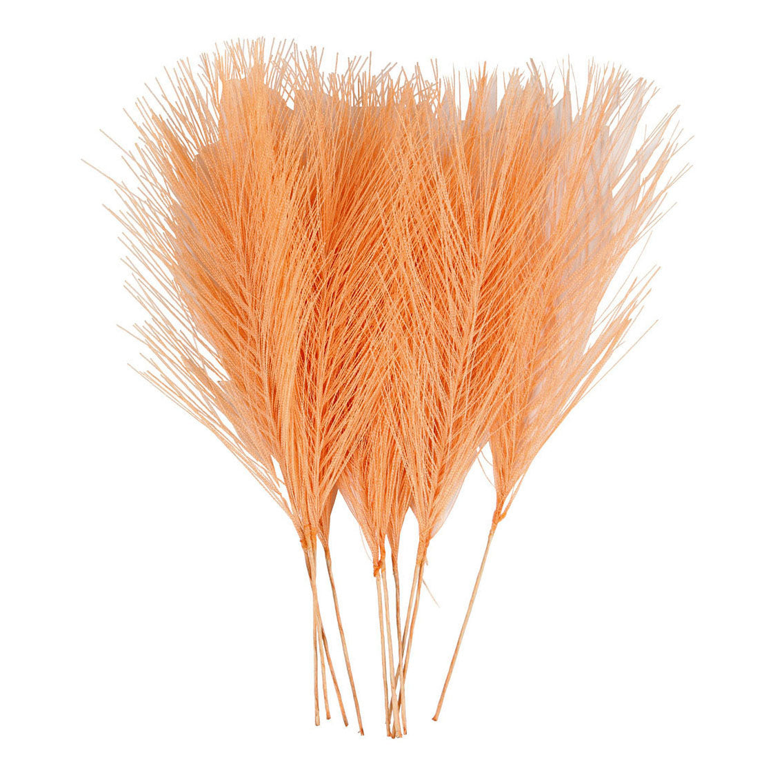 Caristiv Company Kunstveren Oranje, 10e.