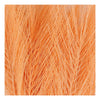 Caristiv Company Kunstveren Oranje, 10e.