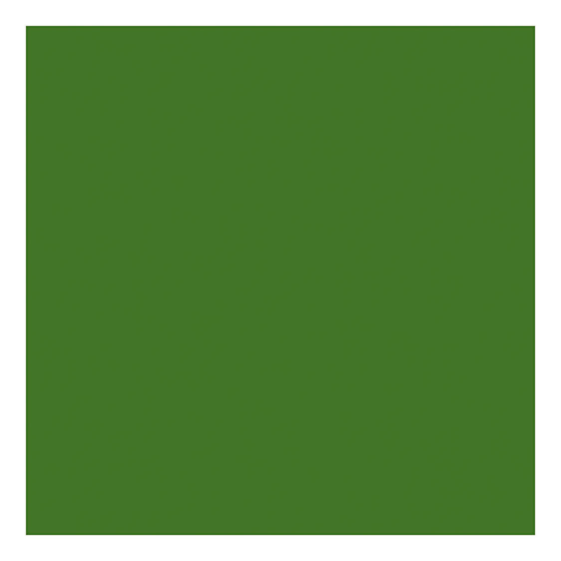 Creativ Company Couleur textile peinture textile semi-couverture olive vert, 50 ml