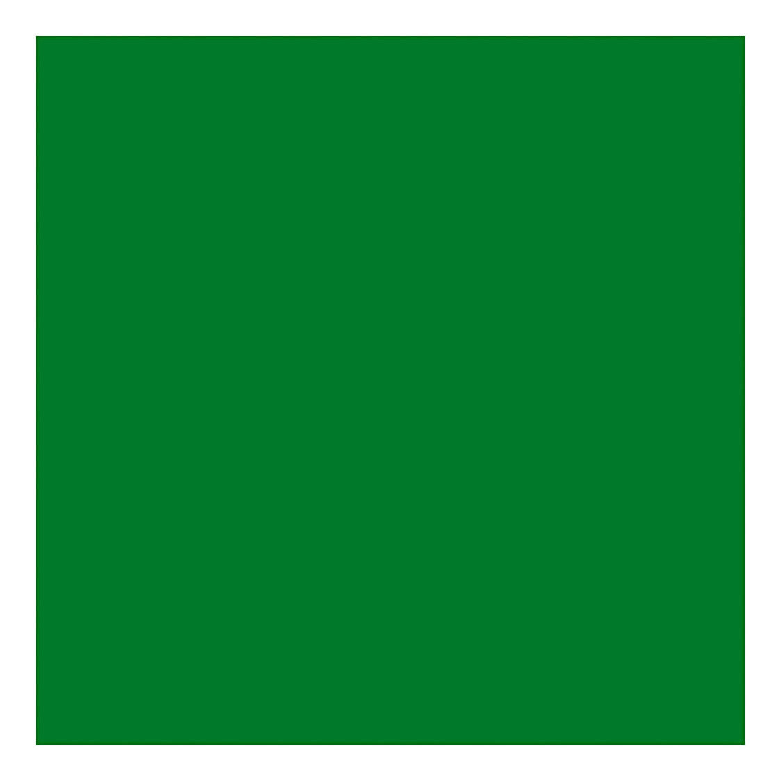 Creativ Company Couleur textile couvrant la peinture textile brillant vert, 50 ml