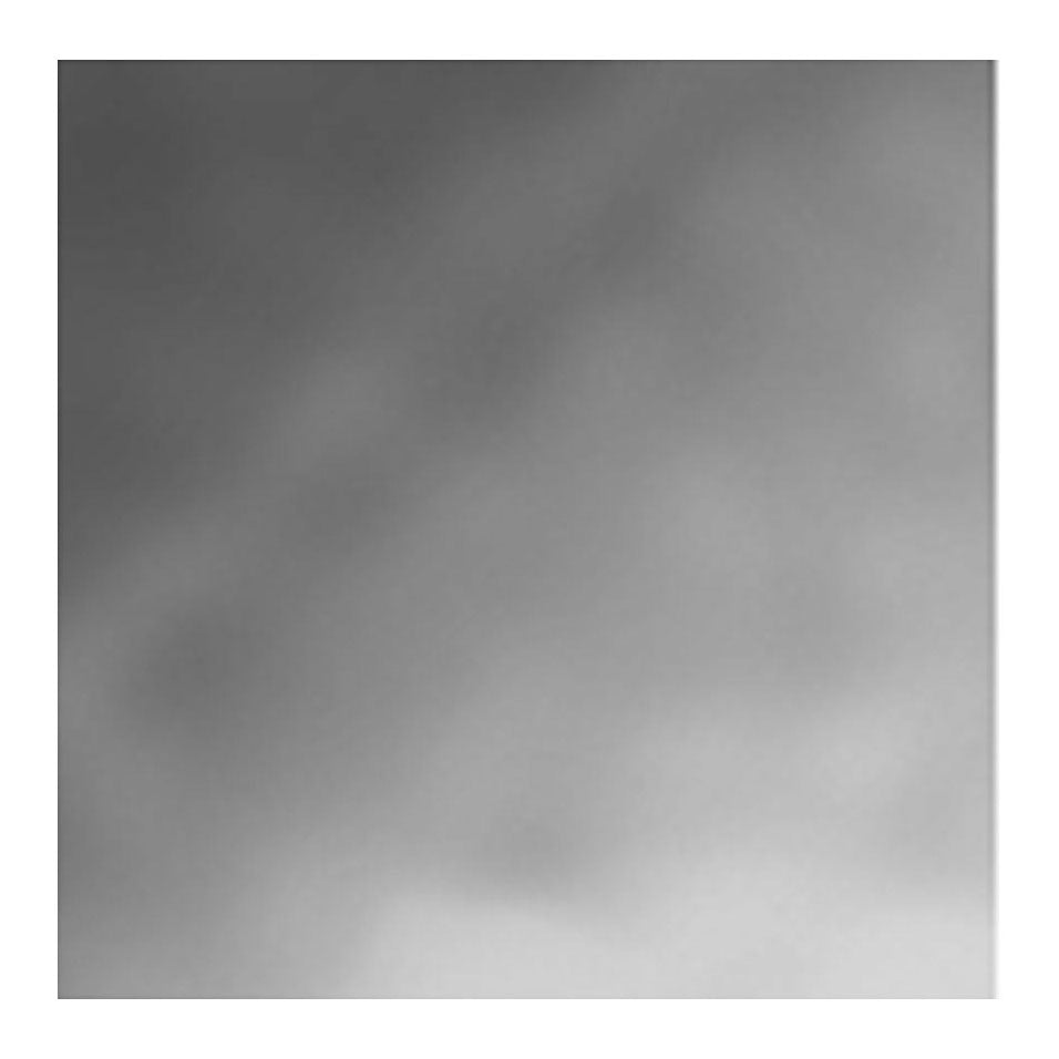 Creativ Company Couleur textile couvrant la peinture textile Pearl, 50 ml
