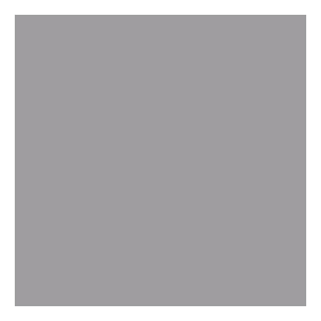 Creativ Company Schmink Perlised Platinum, 20ml