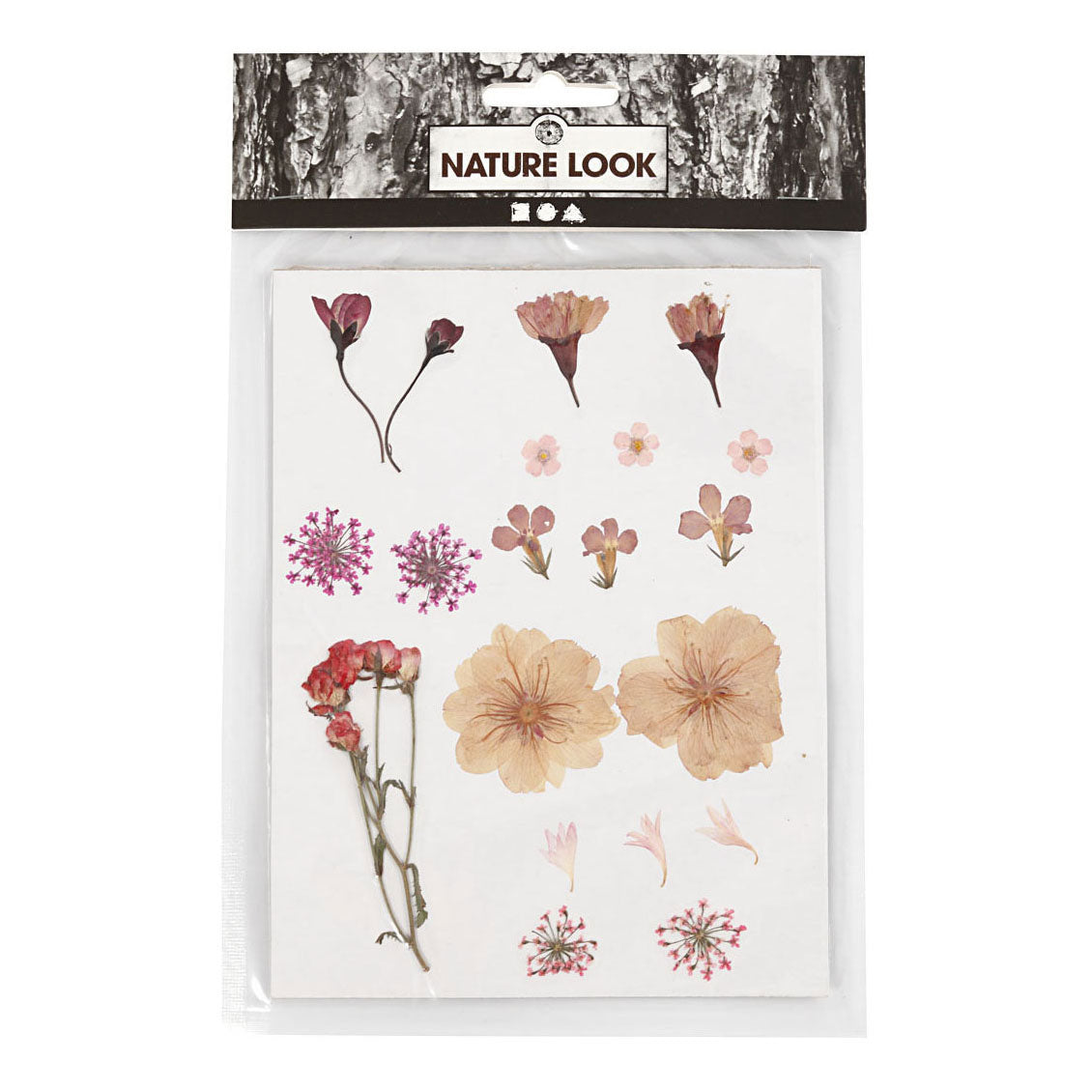 Creativ Company fleurs séchées et laisse du rose clair