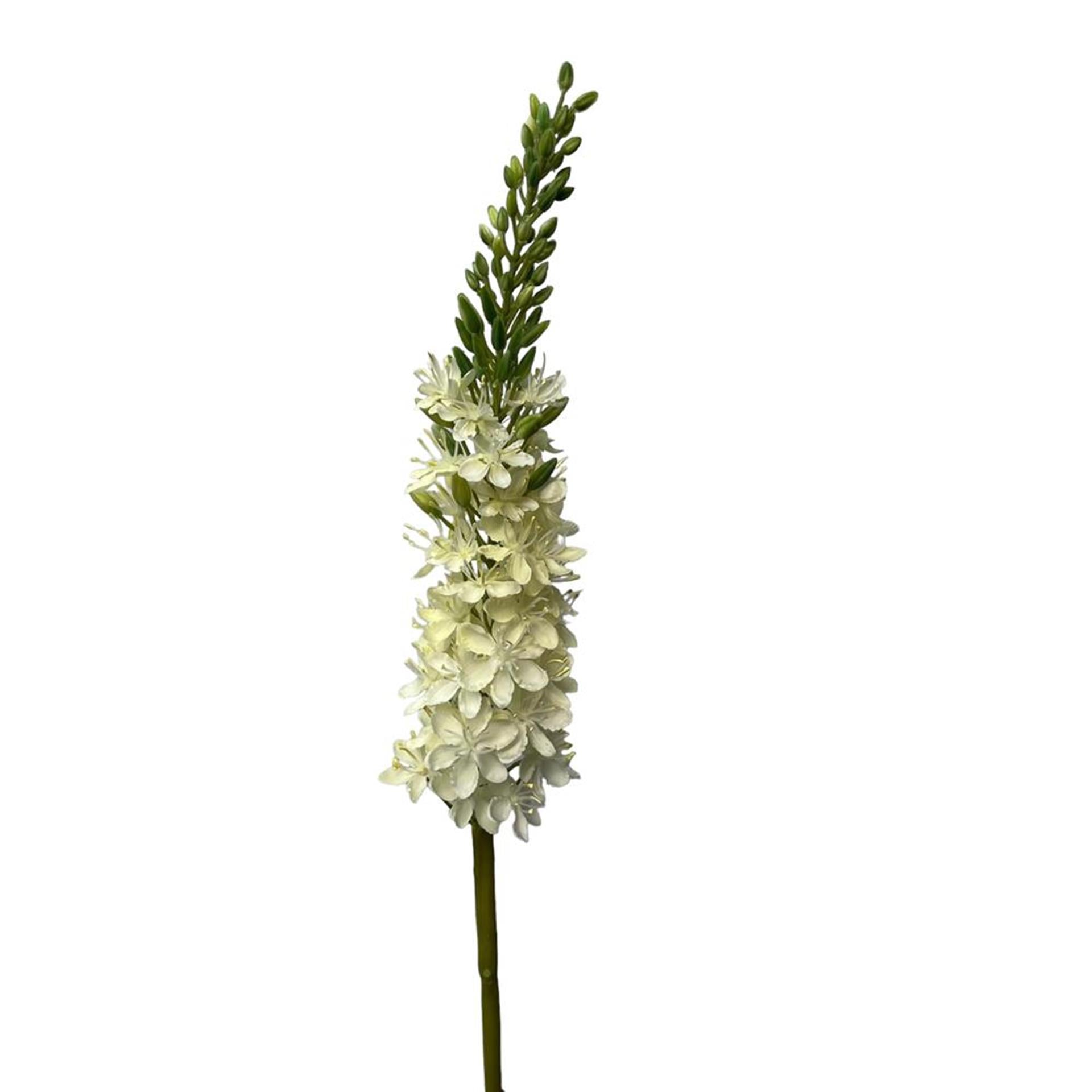 Roberts collection fleur artificielle eremures spray 82cm blanc