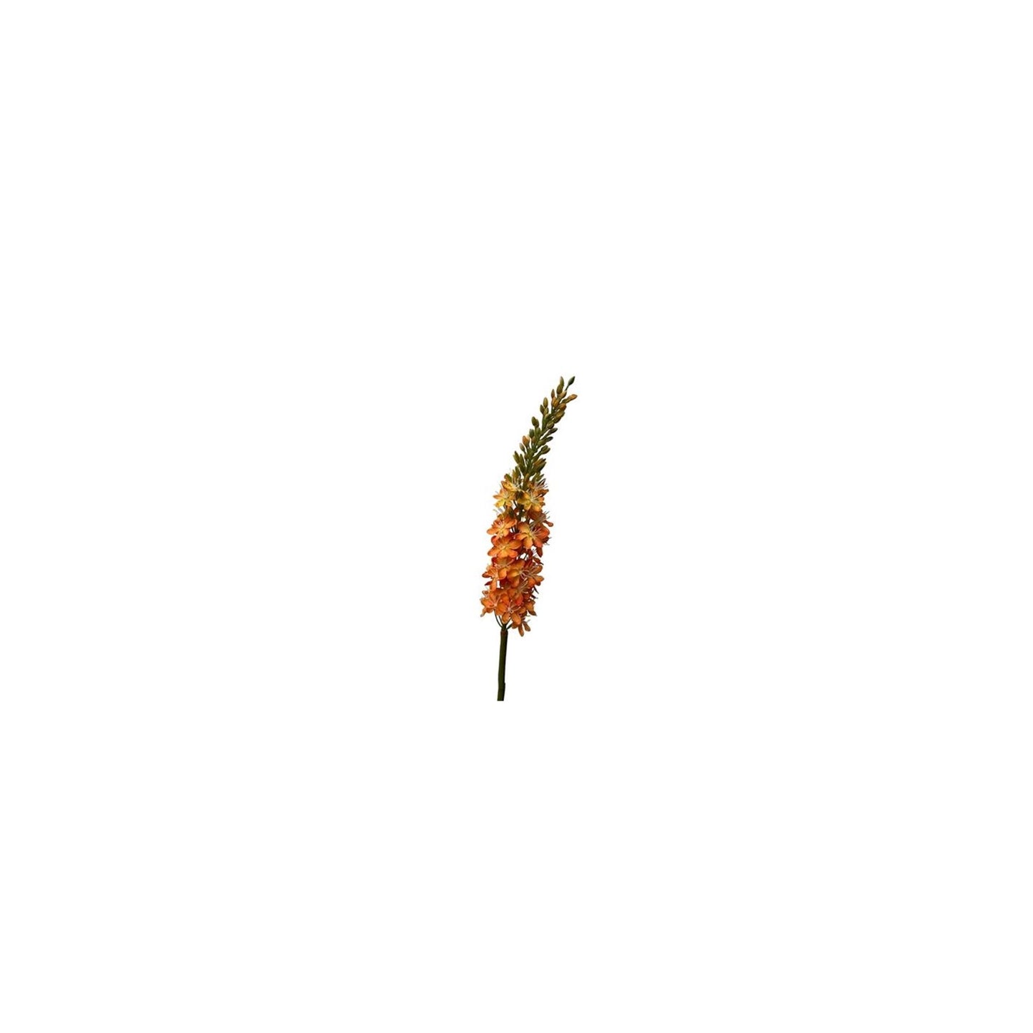 Roberts collection fleur artificielle eremures spray 82cm orange