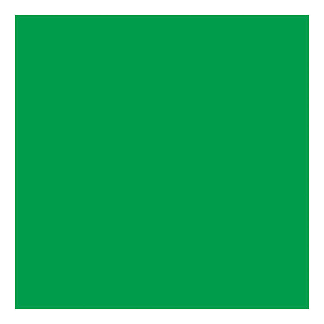 Creativ Company colored Cardboard Grass Green 270gr, 100 feuilles