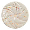 Creativ company vernis céramique moucheté, 999-1060 °c, opaque, défense de défense, 60 ml 1 flacon