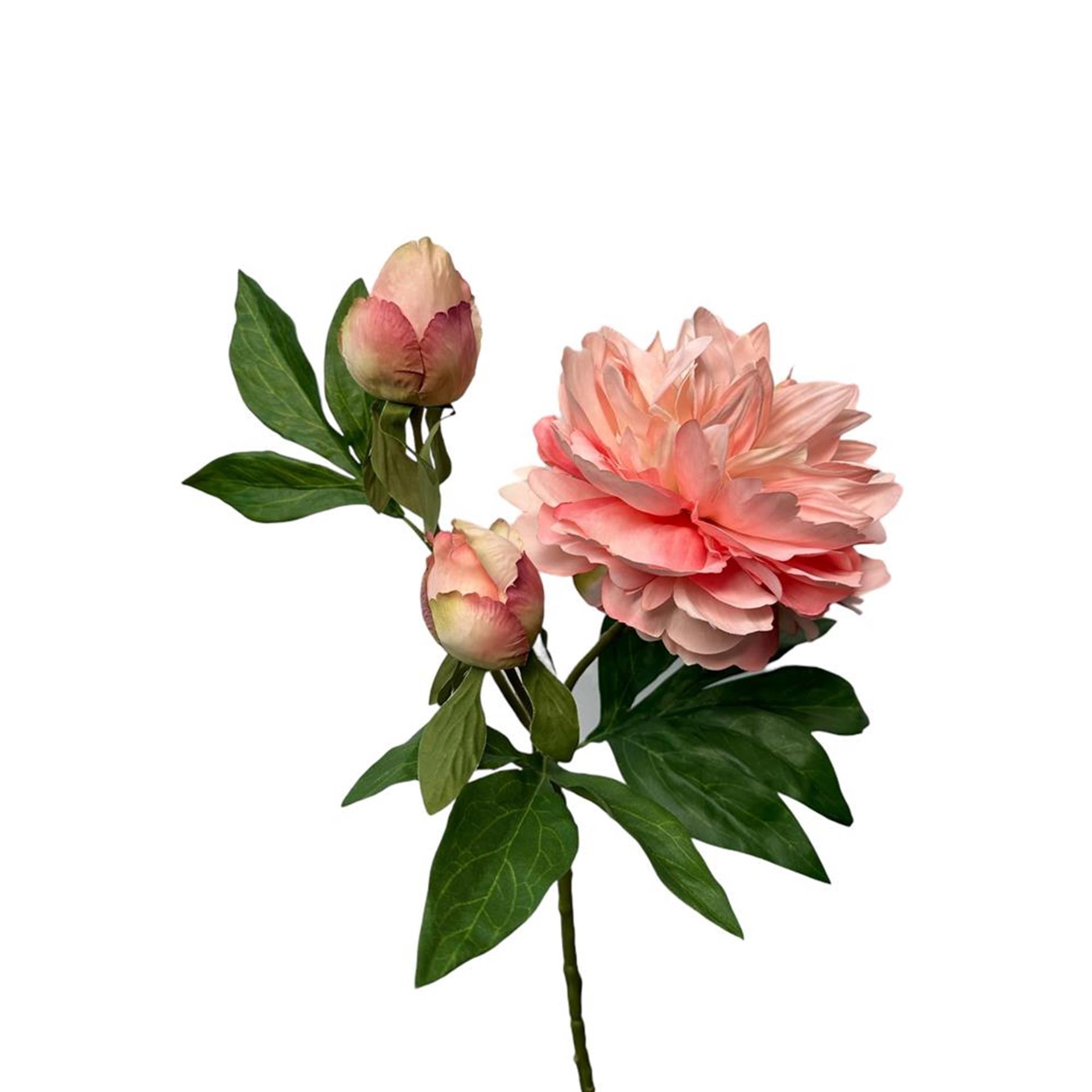 Roberts collection fleur artificielle pivoine spray 64cm pêche