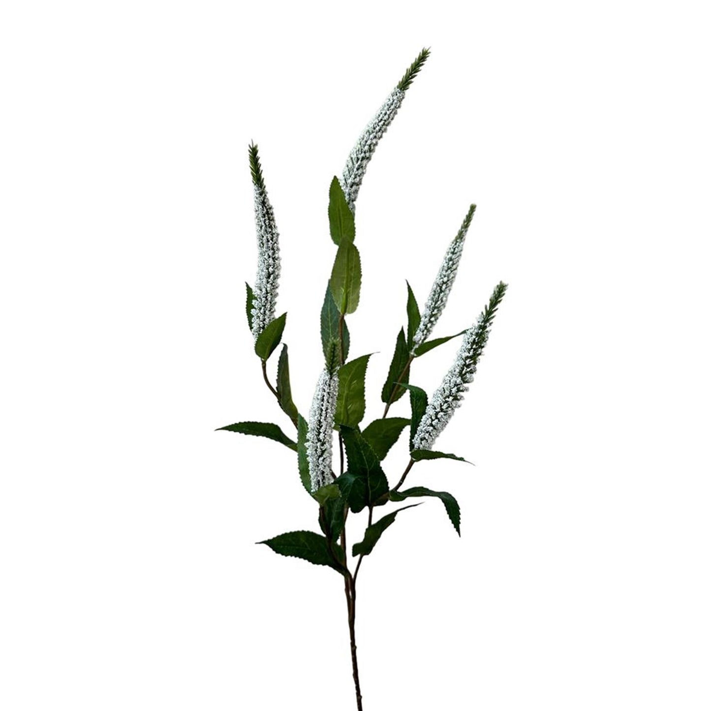 Roberts collection fleur artificielle véronique 52cm blanc