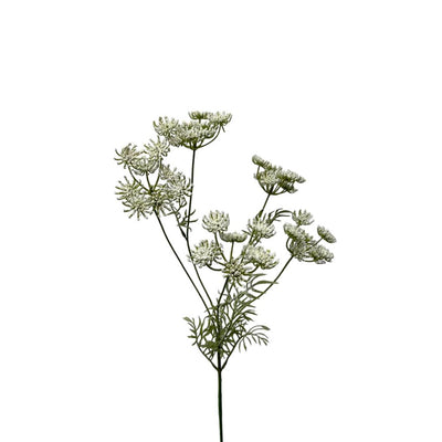 Roberts collection artificial flower dill 80cm white