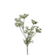 Roberts collection artificial flower dill 80cm white