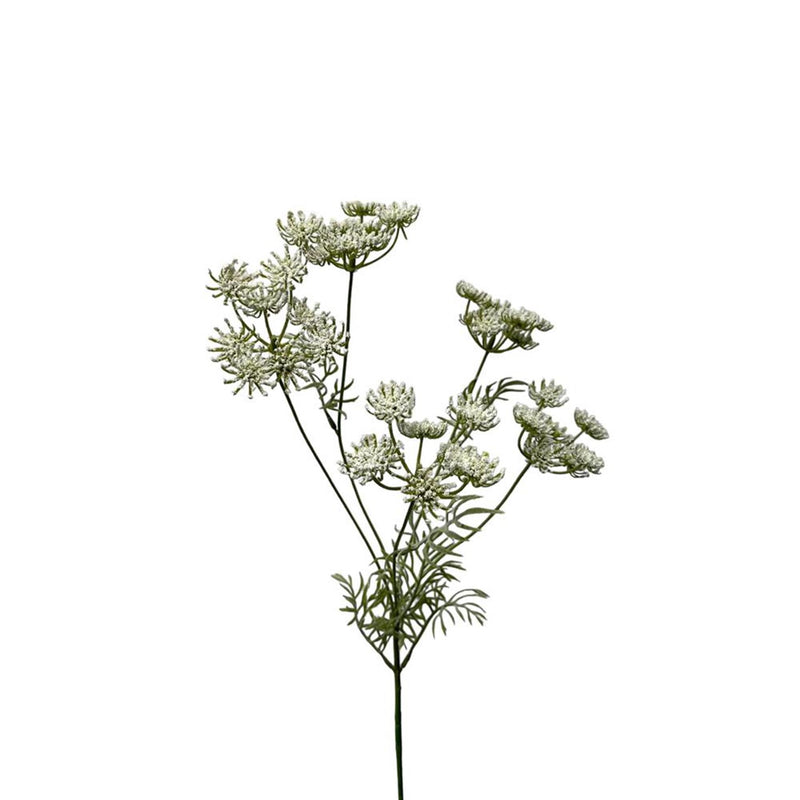Roberts collection artificial flower dill 80cm white