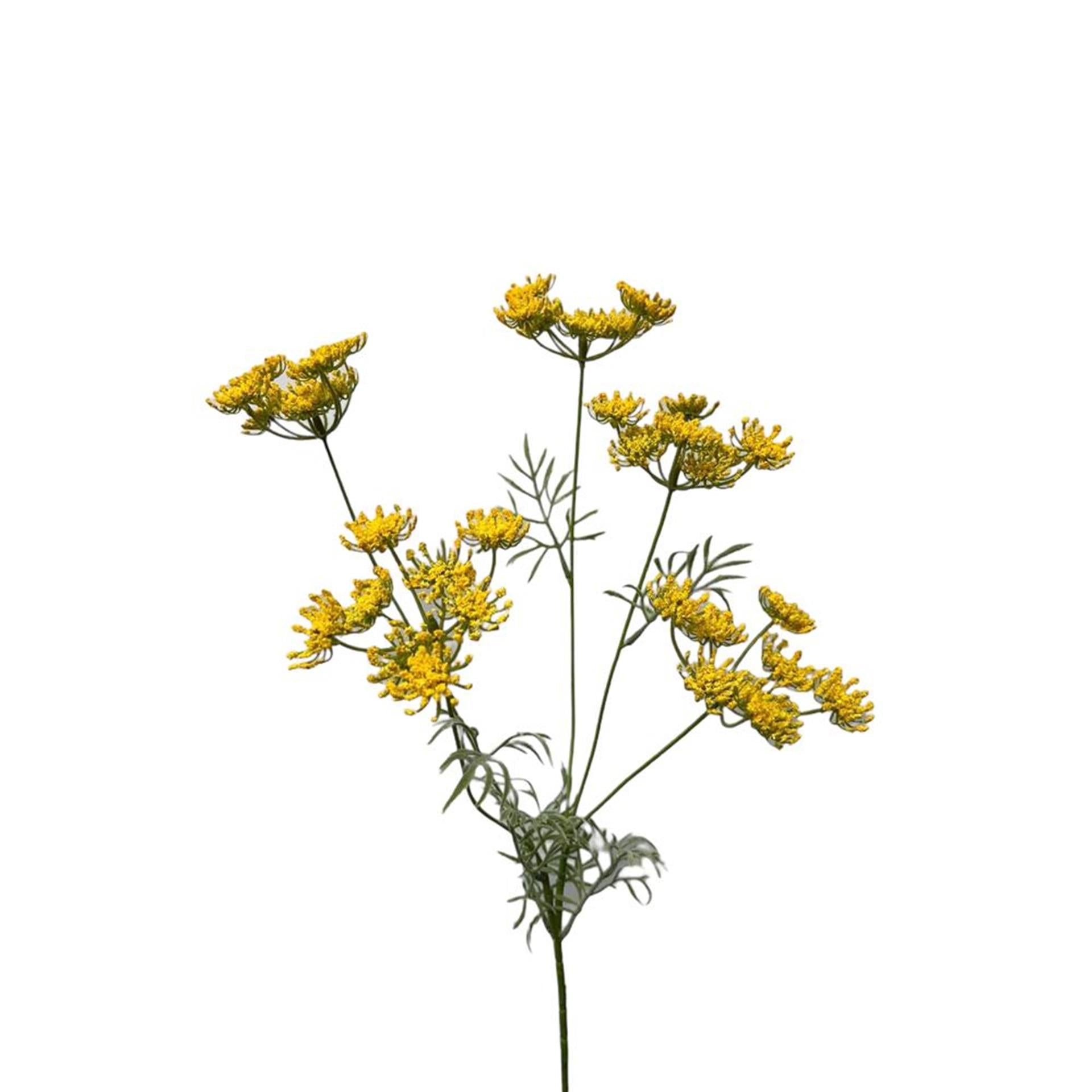 Roberts collection fleur artificielle aneth 80cm jaune