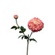 Roberts collection fleur artificielle dahlia spray 74cm perle