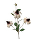 Roberts collection fleur artificielle rudbeckia 83cm crème