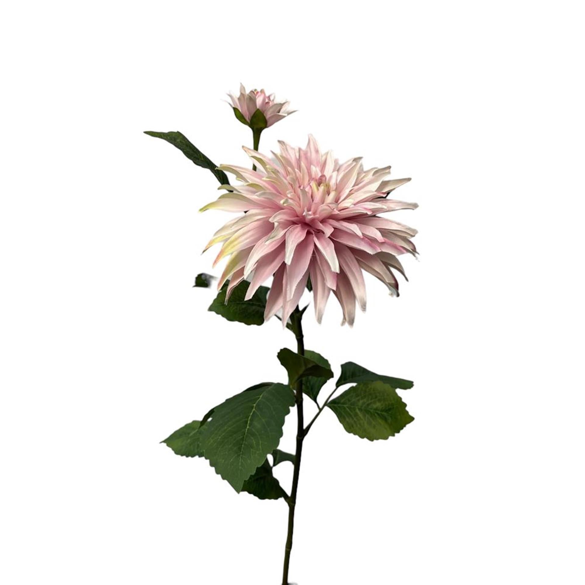 Roberts collection fleur artificielle dahlia + bourgeon vaporisateur 74cm perle