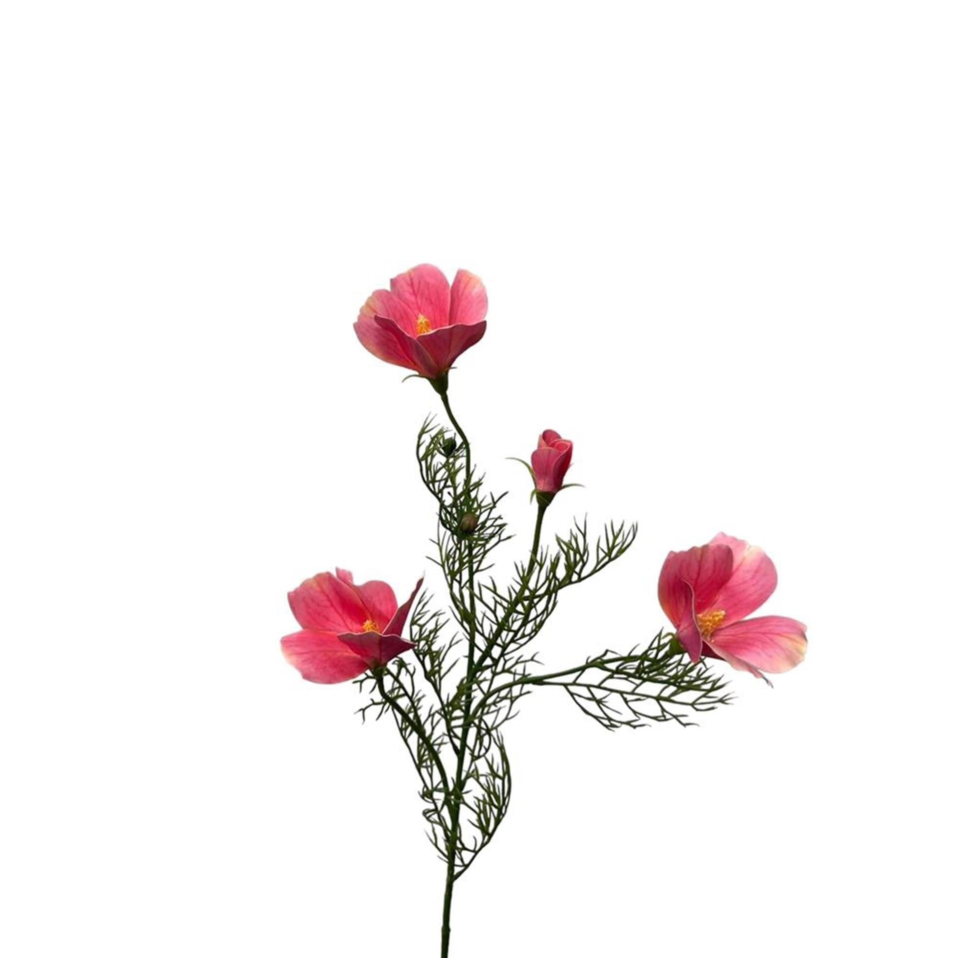 Roberts collection fleur artificielle hibiscus spray 68cm rose clair
