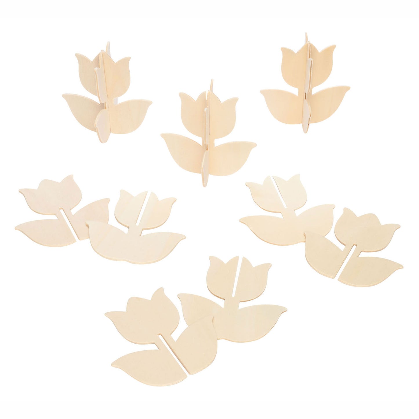 Colorations Faire et décorez votre propre tulipe en bois, ensemble de 12