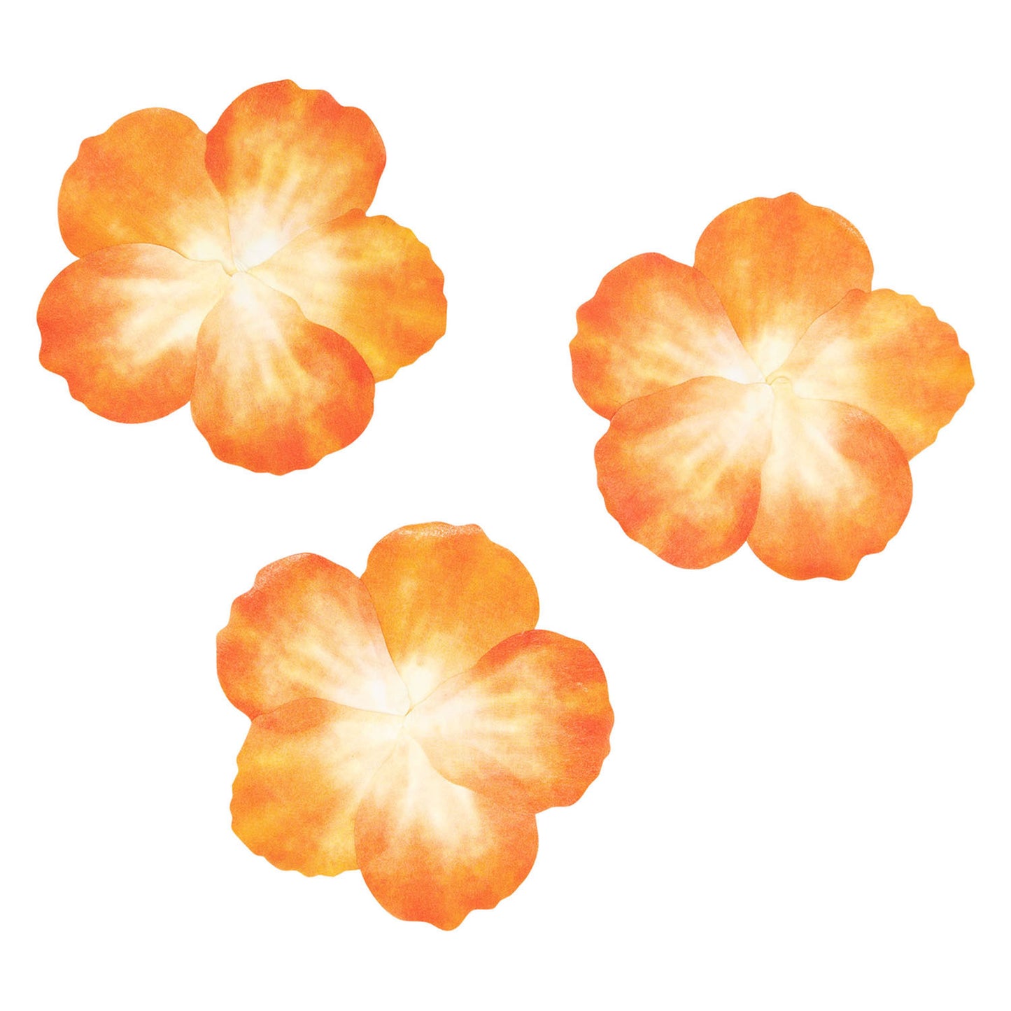 Colorations Washi Stickers Oranje Petals, 80e.