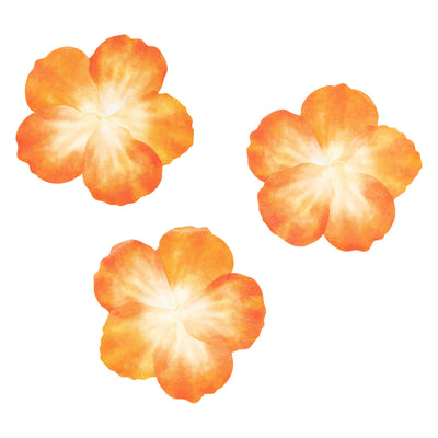 Colorations Washi Stickers Oranje Petals, 80e.