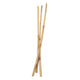 Colorations Bamboo bâtons 50 cm, 3e.