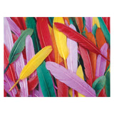 Colorations Colored Duck Springs, 28,5 grammes - afbeelding 2