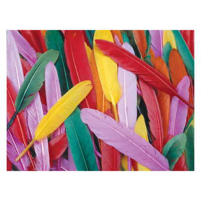 Colorations Colored Duck Springs, 28,5 grammes