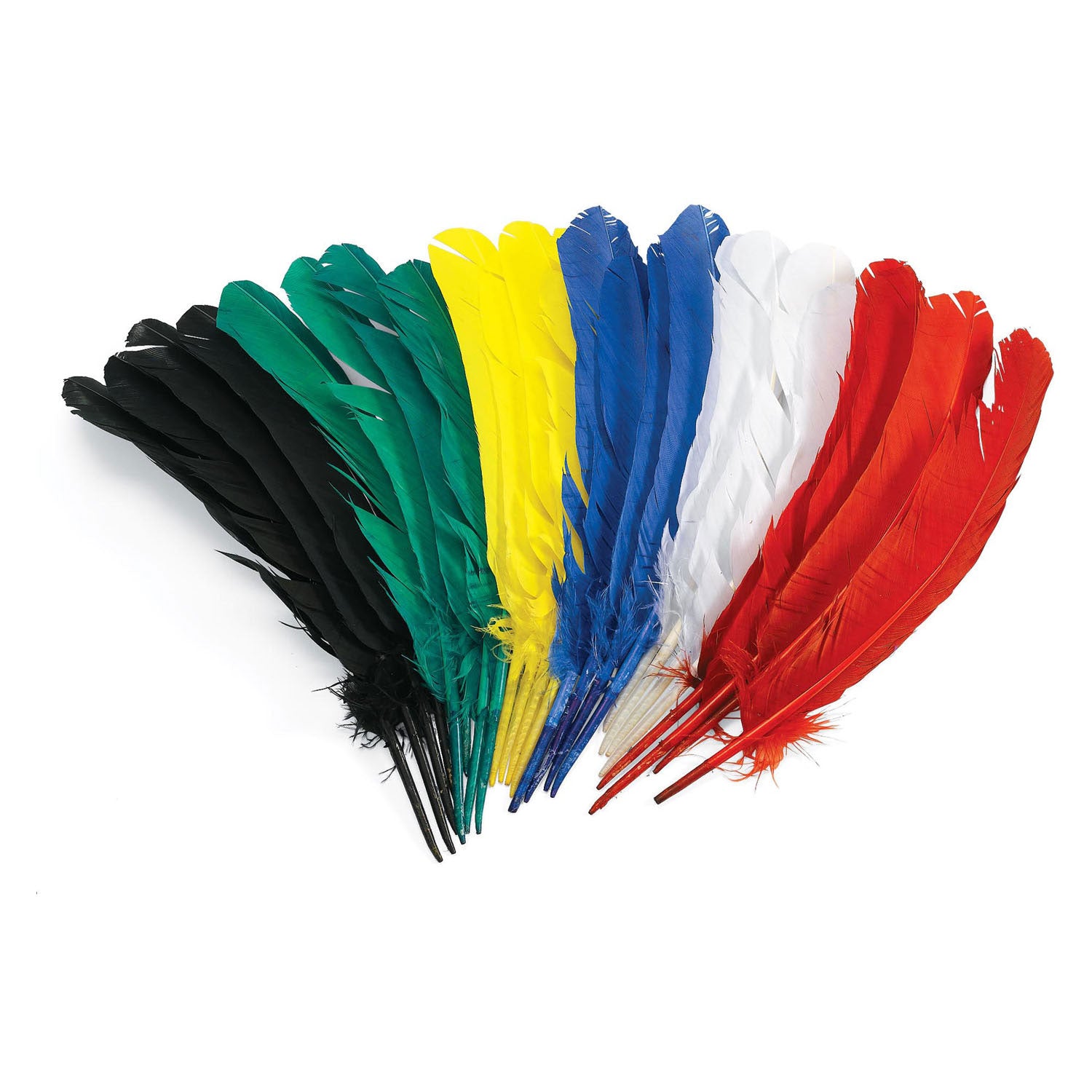 Colorations Springs 30 cm, ensemble de 24