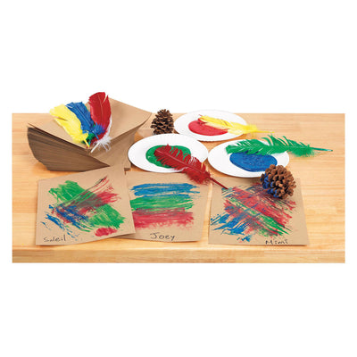 Colorations Springs 30 cm, ensemble de 24