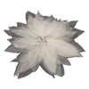 Squelettes à feuilles de magnolia, 50e.