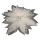 Squelettes à feuilles de magnolia, 50e.