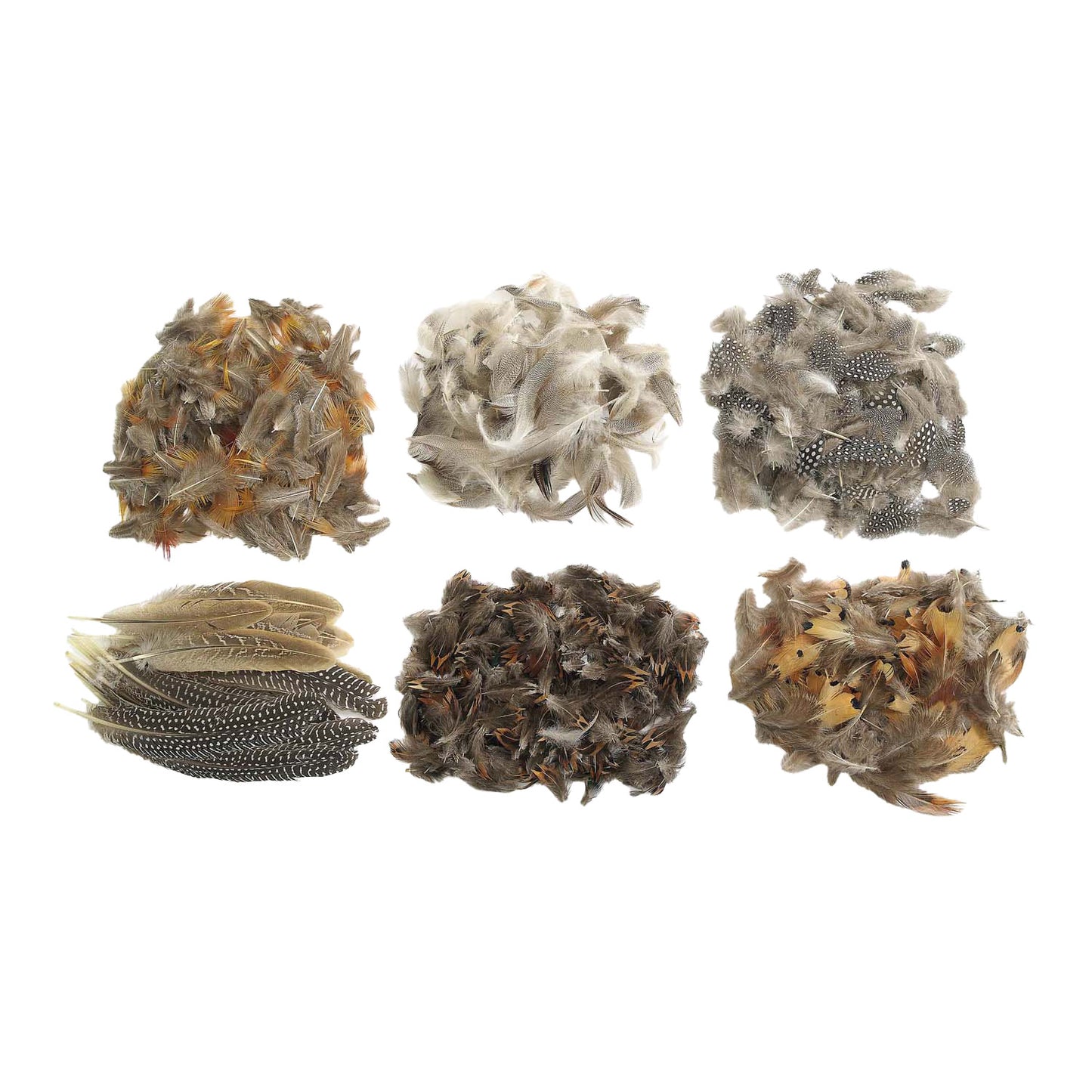 Colorations - plumes naturelles
