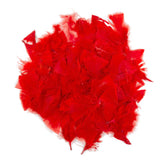 Colorations - plumes rouges, 25 grammes - afbeelding 1