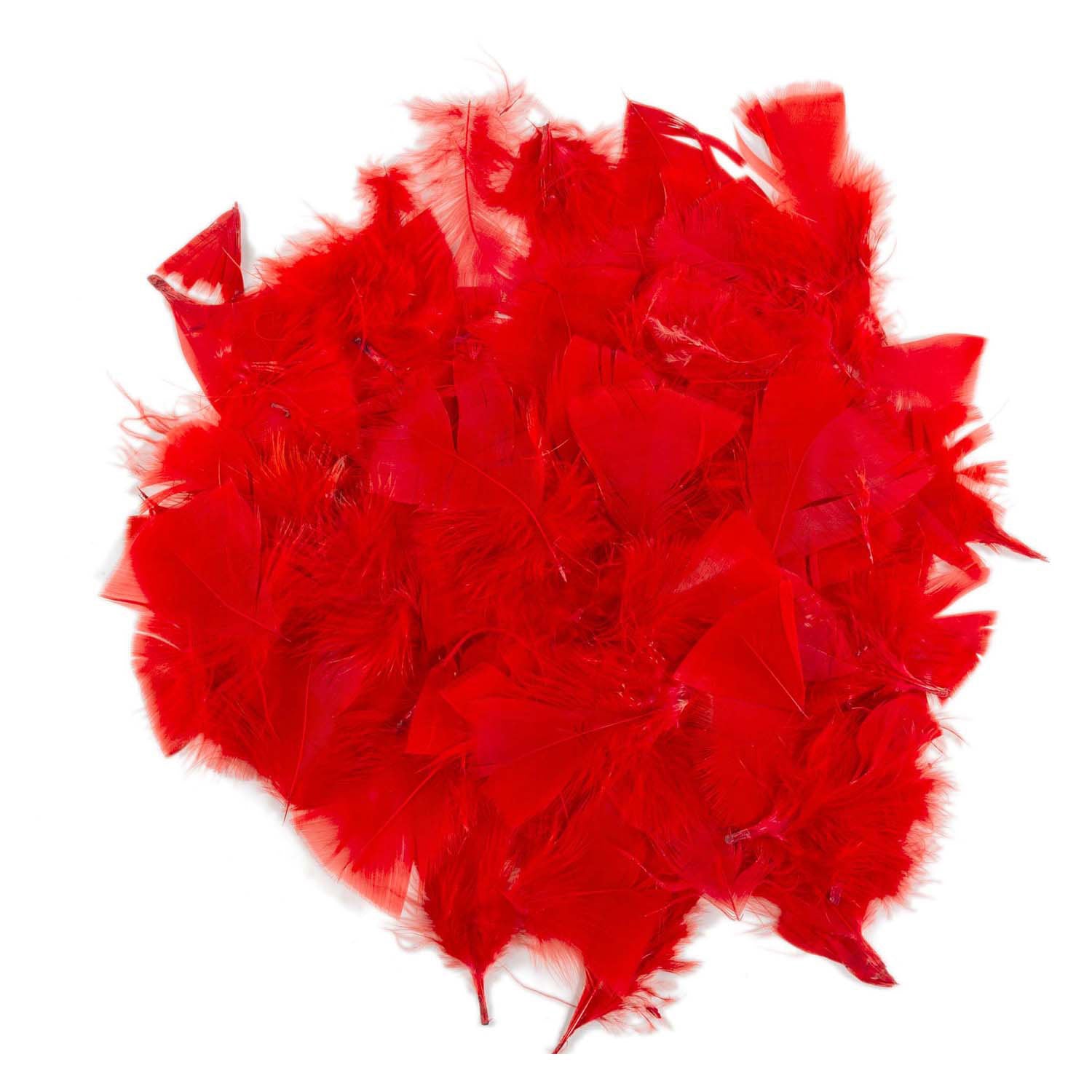 Colorations - plumes rouges, 25 grammes