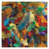 Colorations - plumes tachetées, 30 grammes