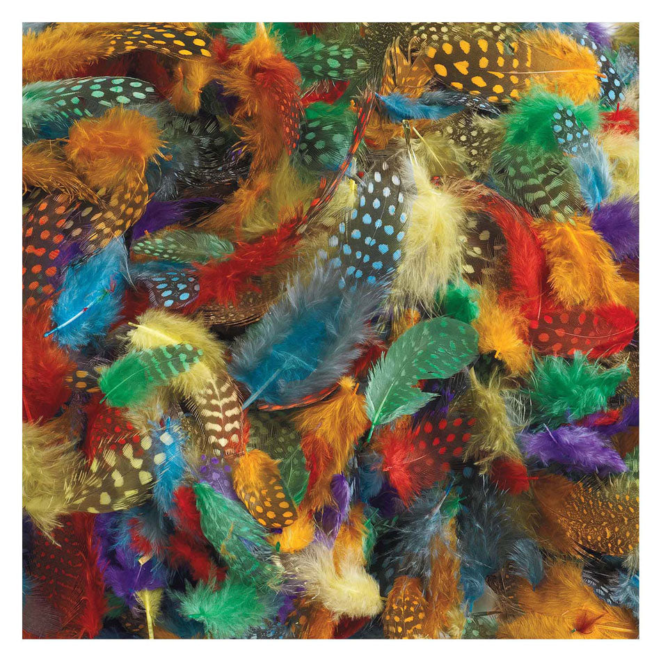 Colorations - plumes tachetées, 30 grammes