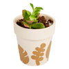 Colorations - Botanical Craft Stickers, 400st.