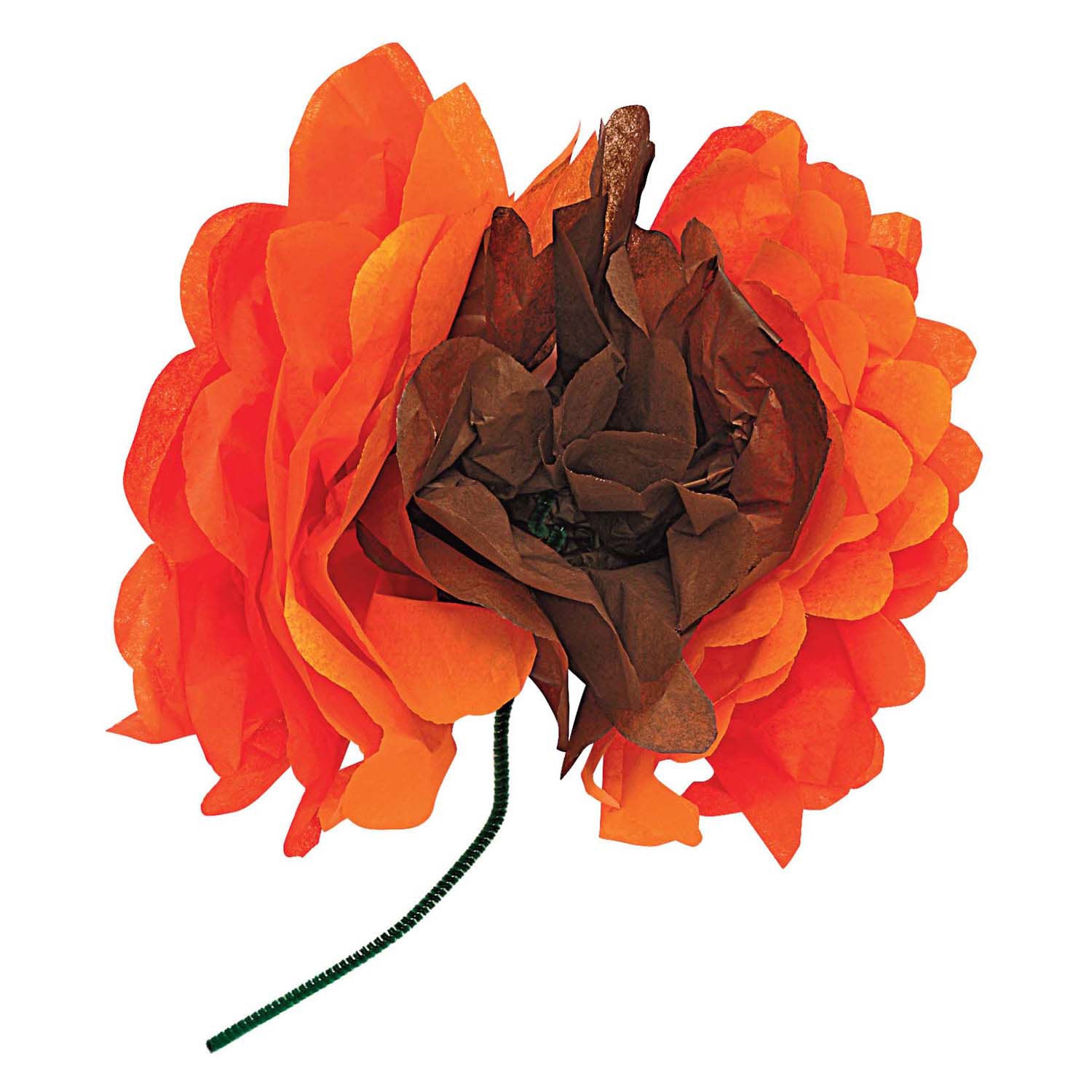 Colorations - Papier en crêpe - 50 feuilles