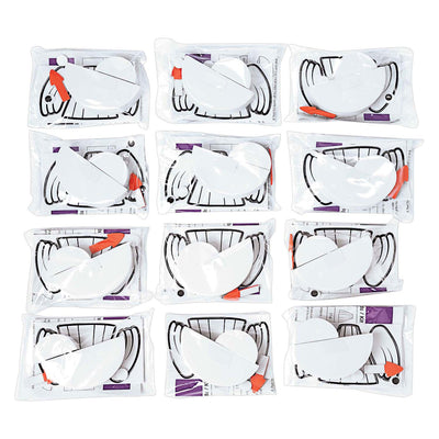 Colorations - Vogel Craft Set, 12dlg.