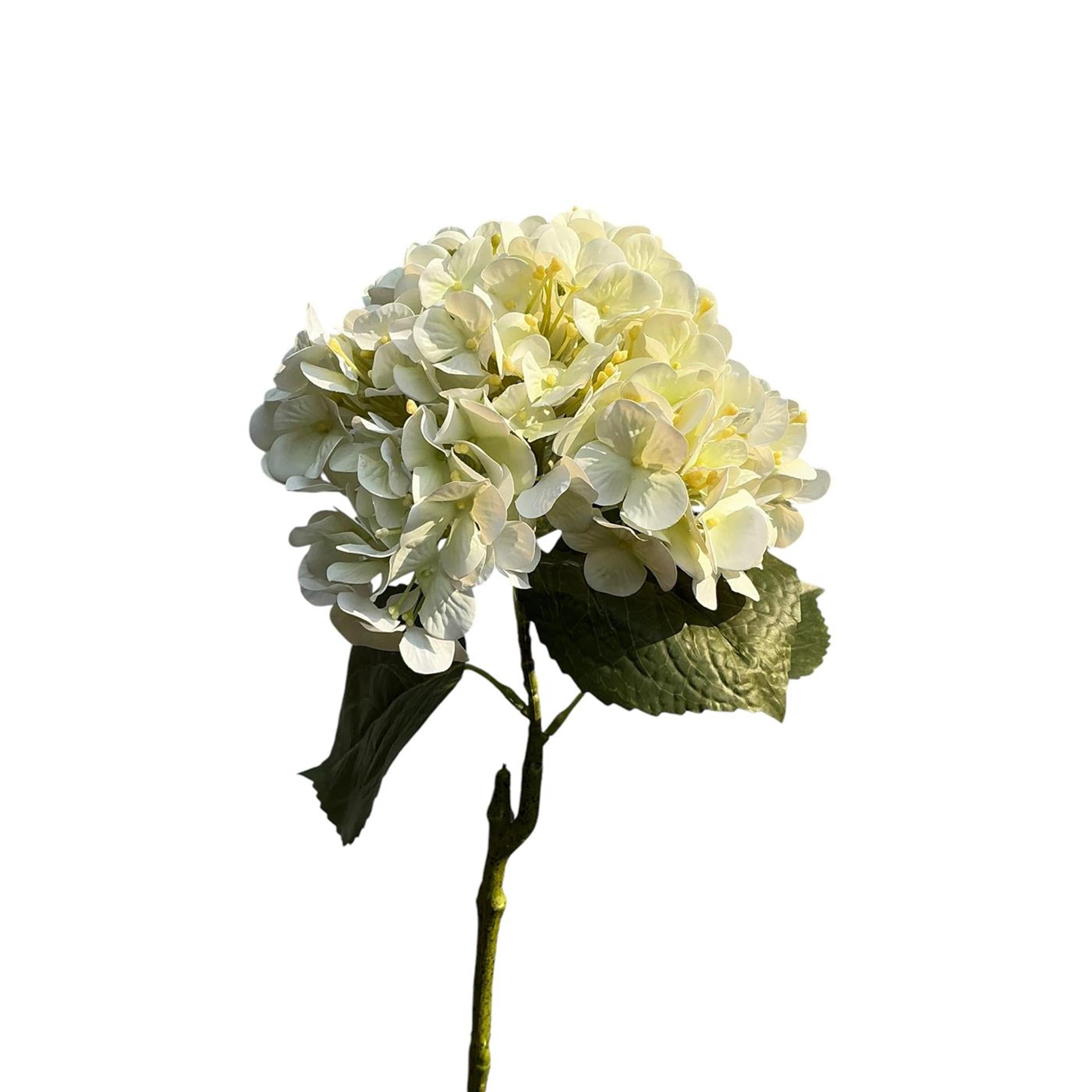 Roberts collection Hortensia Real Touch 75cm crème