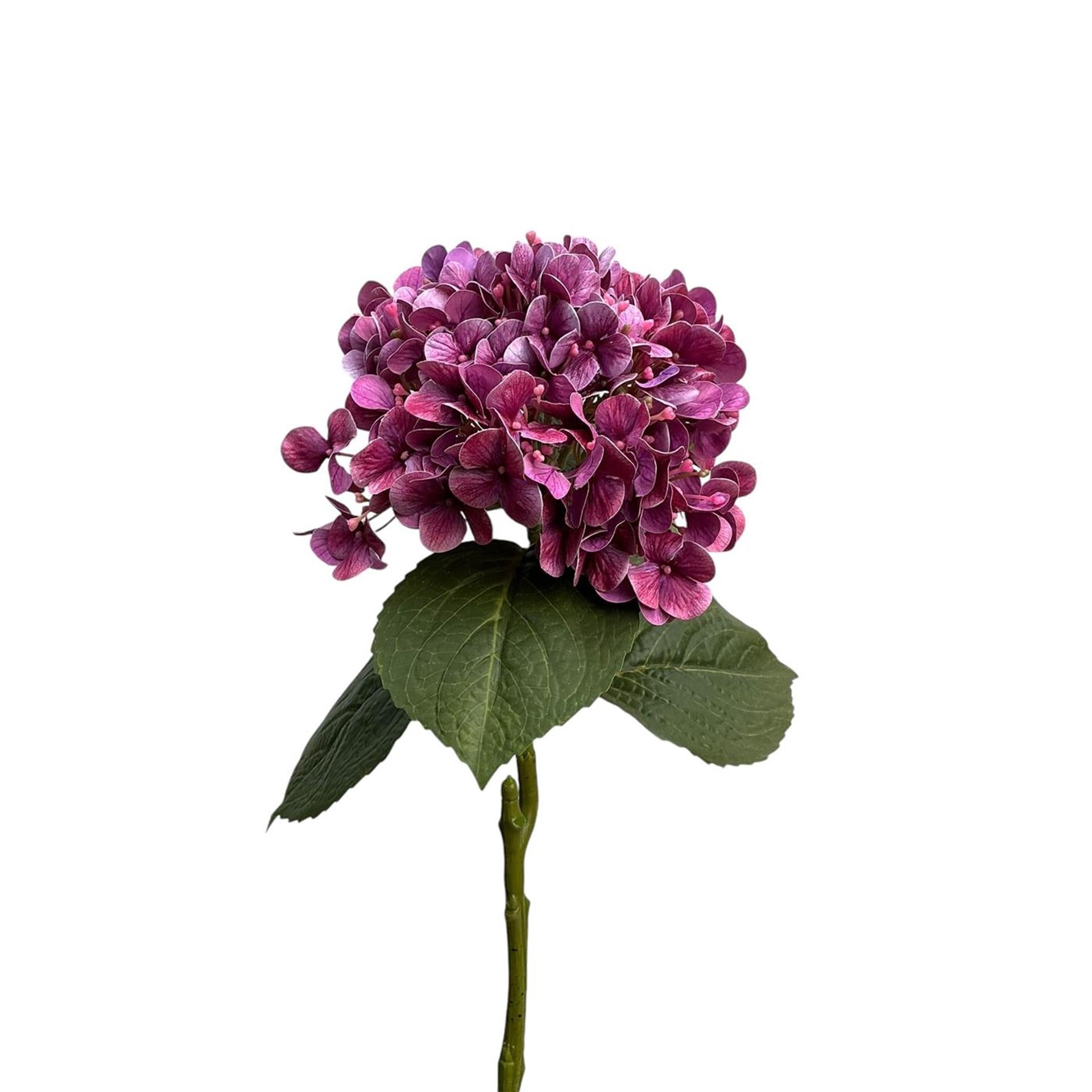 Roberts collection hortensia real touch 75cm violet
