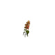 Roberts collection fleur artificielle hortensia cône 75cm orange