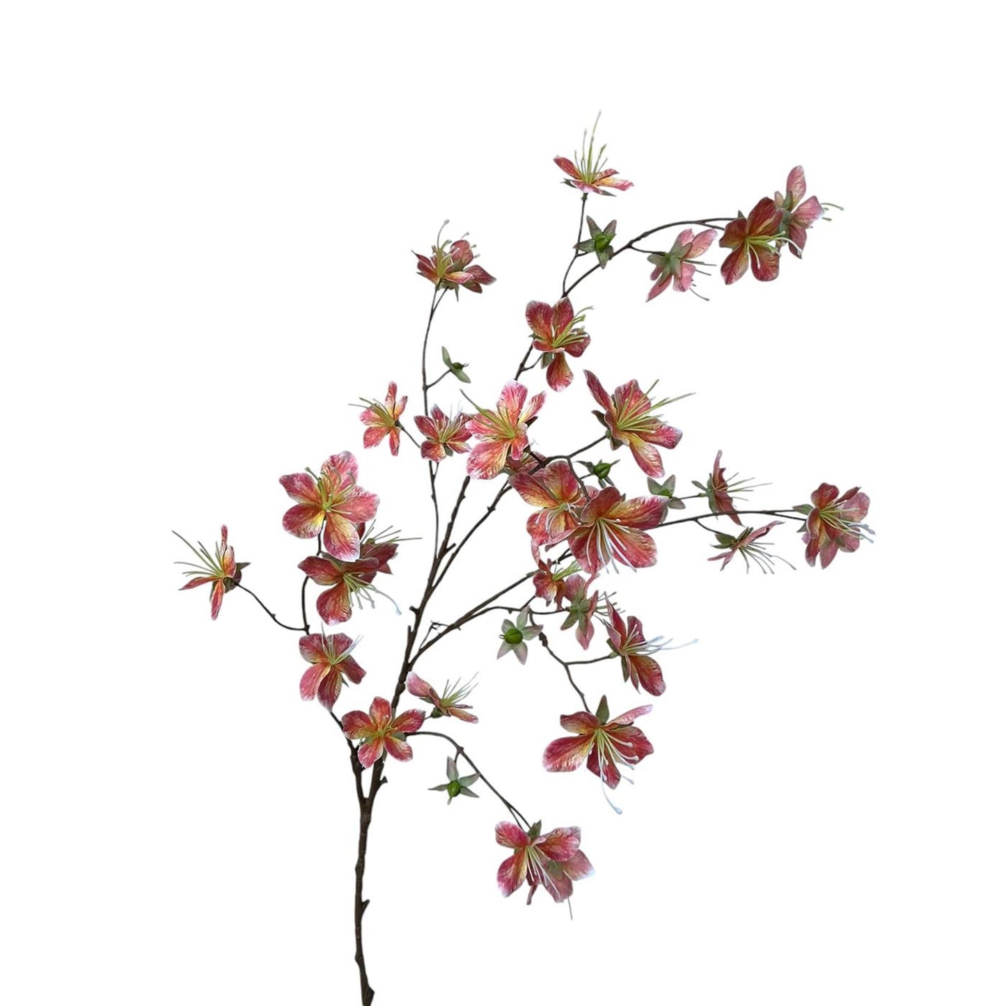 Roberts collection branche artificielle yasmine real touch rose foncé
