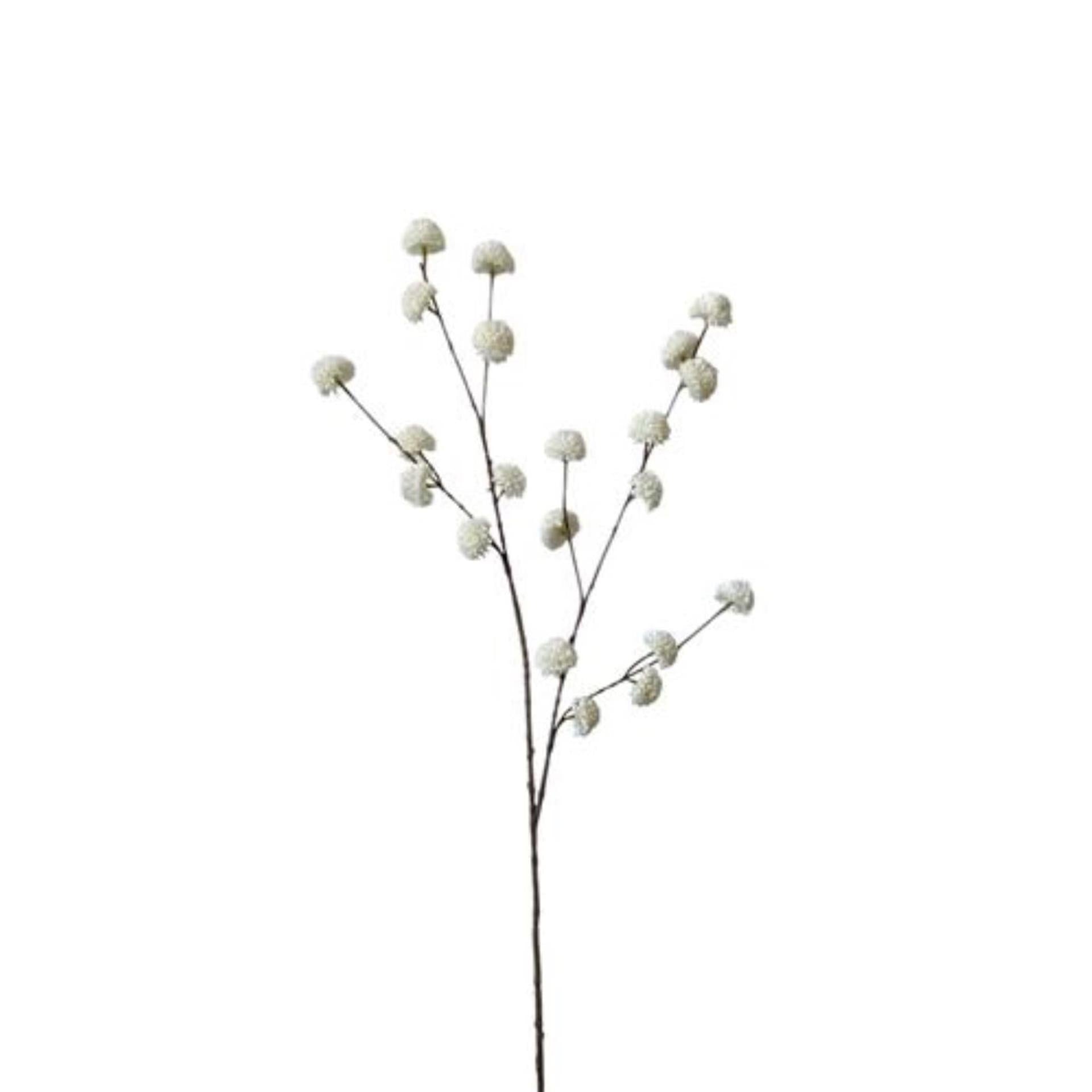 Roberts collection pompon branche artificielle blanc 100cm