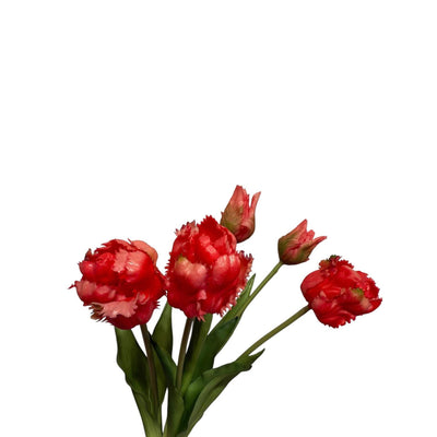 Roberts collection art bouquet tulipes perroquet cerise