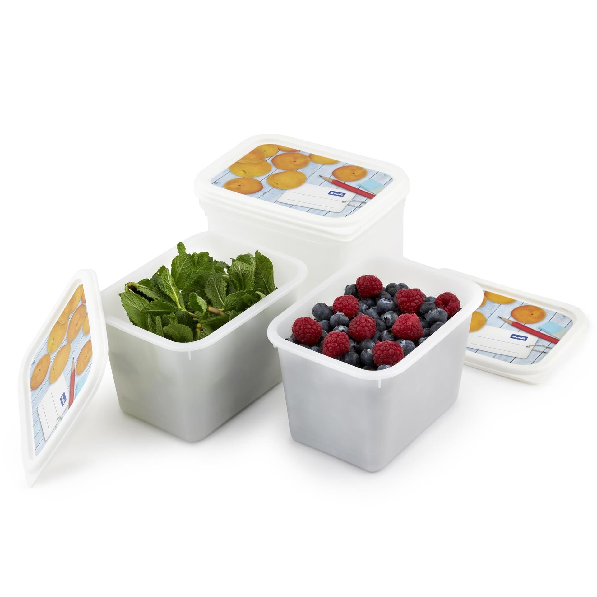 Coffret congélateur Rotho 4 pièces 1l